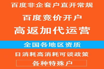 某某sem推广公司在某行业的应用与效果分析
